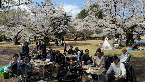 会社でお花見イベントを行いました！！＠光が丘公園
